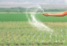 Urea offtake jumps 76pc to 1.2m tonnes in June