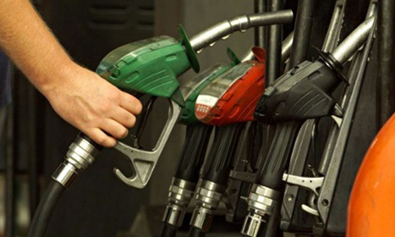 'Fuel shortage must not be linked with partial curtailment of oil imports'