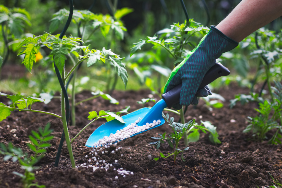 Fertilizer spending stagnant – sales drop