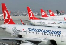 Turkish Airlines to manage Pakistan’s fruit, vegetable exports after PIA ban