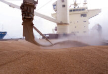 First vessel carrying over 60,000MT wheat to reach Karachi tomorrow