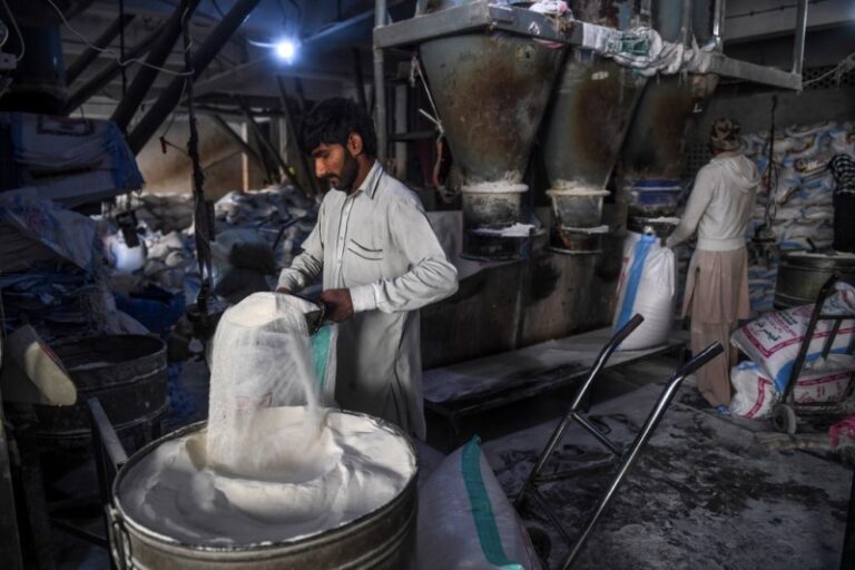 10 flour mills sealed in Punjab; 16,000 tonnes of hoarded wheat seized 