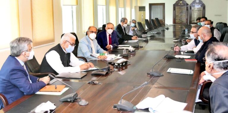 Hafeez Shaikh vows all-out measures for smooth supply of wheat, flour