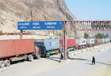 Vehicles stranded at Torkham to be cleared within 10 days: SAPM