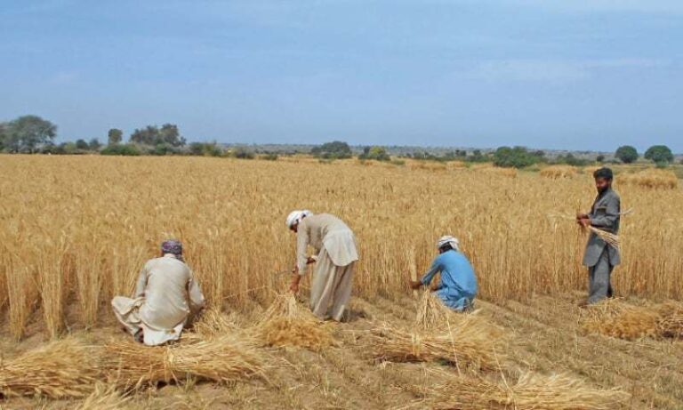 Rs50bn allocated to provide subsidy to farmers, NA told