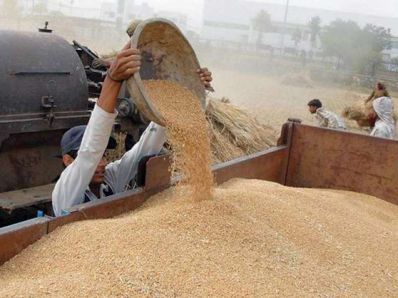 CCP holds consultative meeting on competition distortions in wheat sector