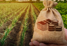 Banks disbursed Rs1.2tr to agriculture sector in FY20