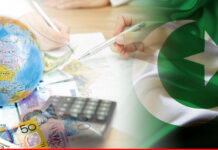 Govt plans legal cover for FDI, seeks to curb NAB, FIA interference