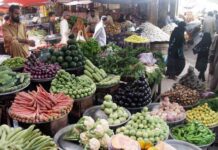 Could Pakistan export fruits and vegetables? Â