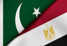 Egypt keen to enhance trade ties with Pakistan: envoy