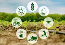 President Alvi for devising e-strategy on agriculture