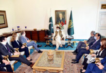 Australian company keen to invest in Pakistan’s renewable energy sector