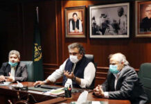 Ali Zaidi inaugurates online portal, website for ports & shipping wing