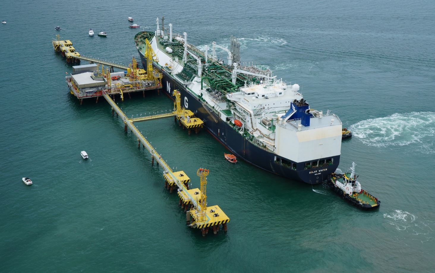 Govt decides to utilise idle capacity of PGPC's LNG terminal