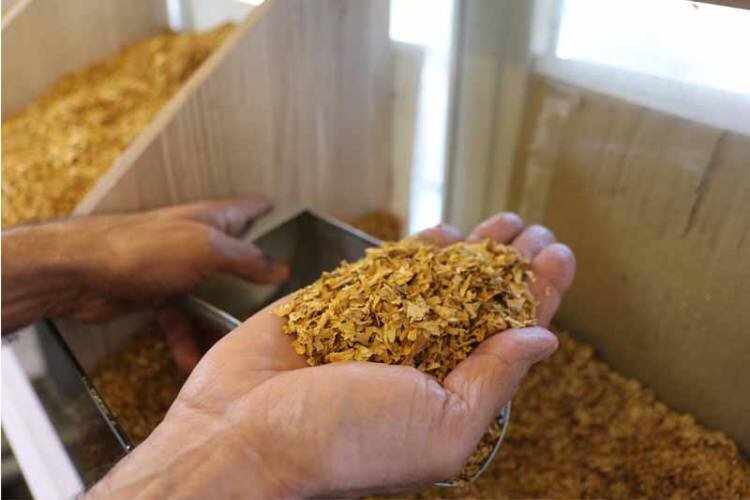 Tobacco exports increase by 137pc