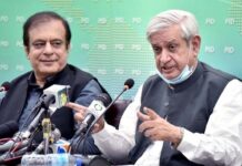 Govt’s proactive approach helped control locust outbreak: minister