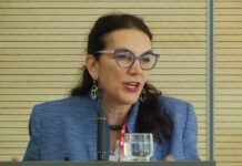 GSP-Plus facility: EU envoy urges Pakistani exporters to focus on product diversity