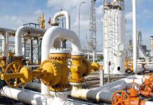 Fertiliser players urge govt to extend GIDC recovery period by eight years