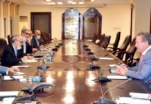 Hafeez Shaikh apprises foreign investors of Pakistan’s investment potential