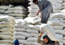 Sugar production likely to increase by 7.5mn tons