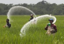 Fertilizer industry offers support to govt for implementing subsidy scheme for farmers