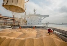 Govt decides against importing wheat from Russia