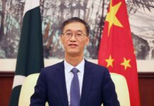 ‘CPEC on track, but Pakistan needs to employ Chinese experts’