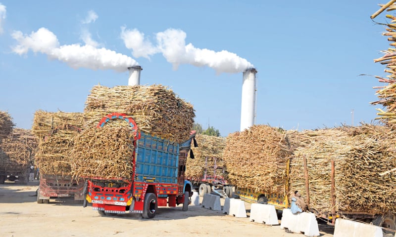 CCP completes inquiry into 'anti-competitive activities' in sugar industry