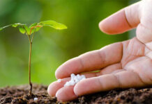 Urea sales likely to drop 6pc YoY in Sept