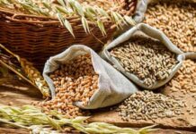 KP govt increases wheat quota for flour mills