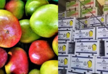 Horticulture exporters decry 800pc surge in phytosanitary certificate fee