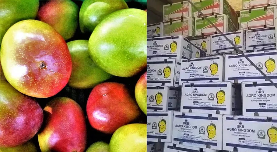Horticulture exporters decry 800pc surge in phytosanitary certificate fee