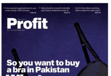 The rising economic power of Pakistani women