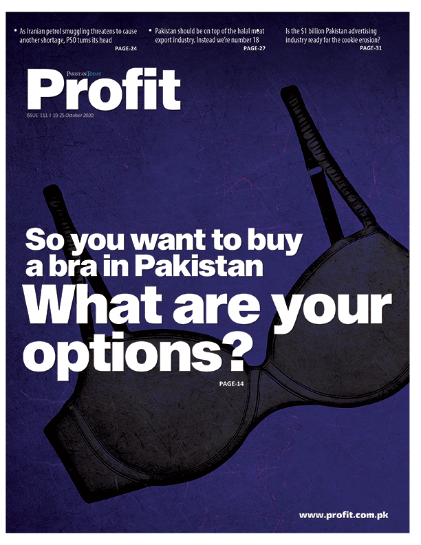 The rising economic power of Pakistani women