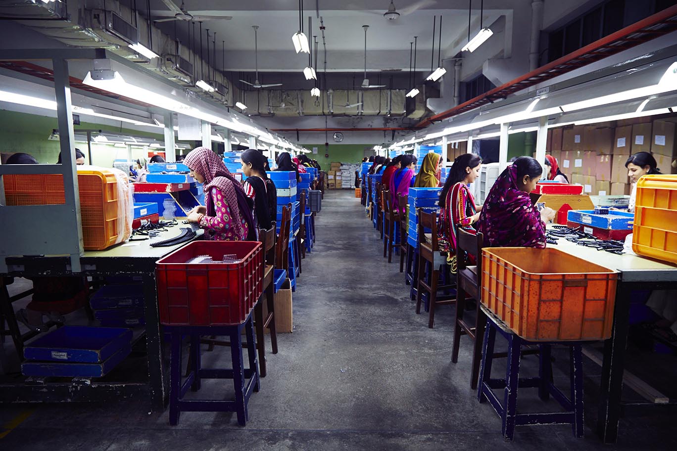 Treet Corporation says goodbye to its for-profit education company
