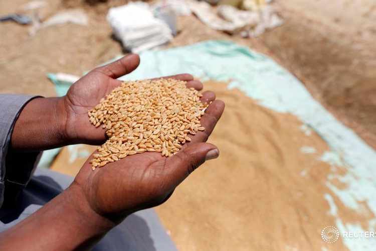 KP farmers lament high cultivation costs