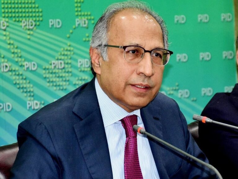 Hafeez Shaikh stresses public-private partnership for inclusive growth