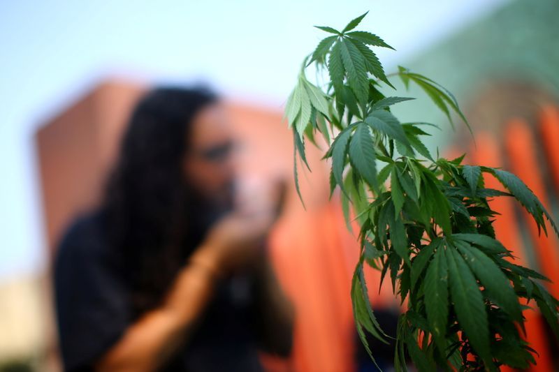 Cannabis review site Weedmaps agrees $1.5bn deal to go public