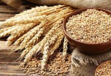 Food ministry advised not to import additional wheat
