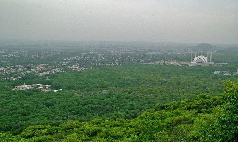 Govt to issue ordinance for settlement of land claims