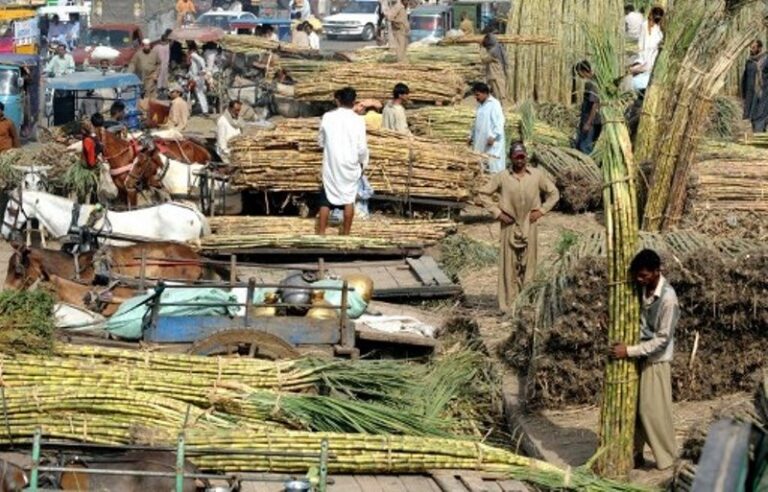 Cane commissioner asks DCs to stop ‘off the book’ purchases by mills