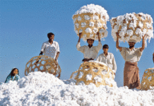 Import of Indian cotton likely to be resumed