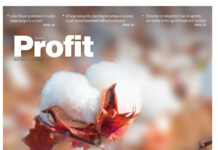 Why bother with ‘targets’?