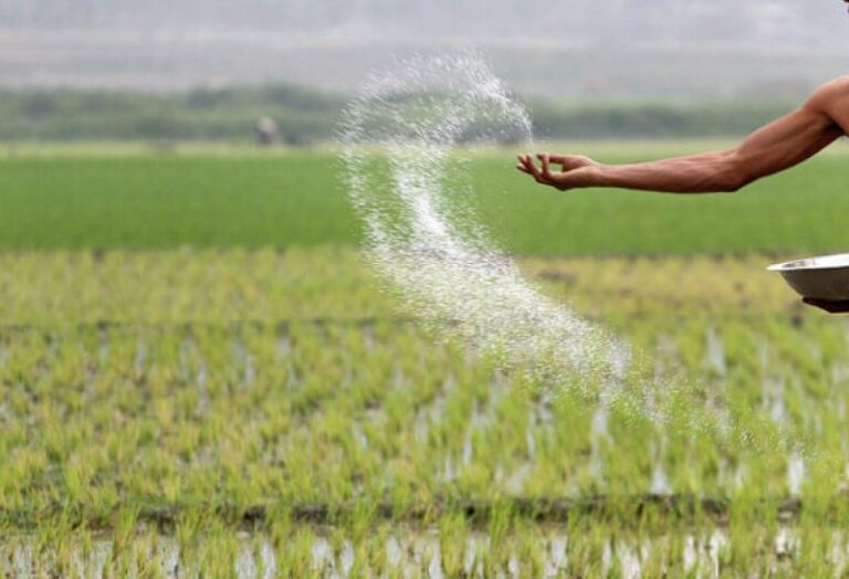 Govt to end discounted tariff for fertiliser firms