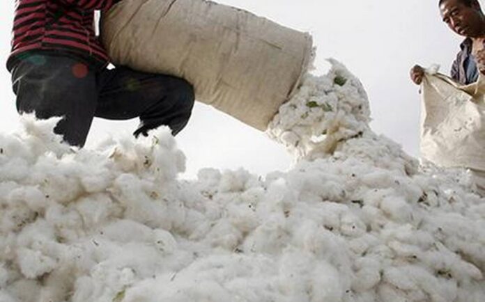 PM approves Rs8,500 as cotton support price