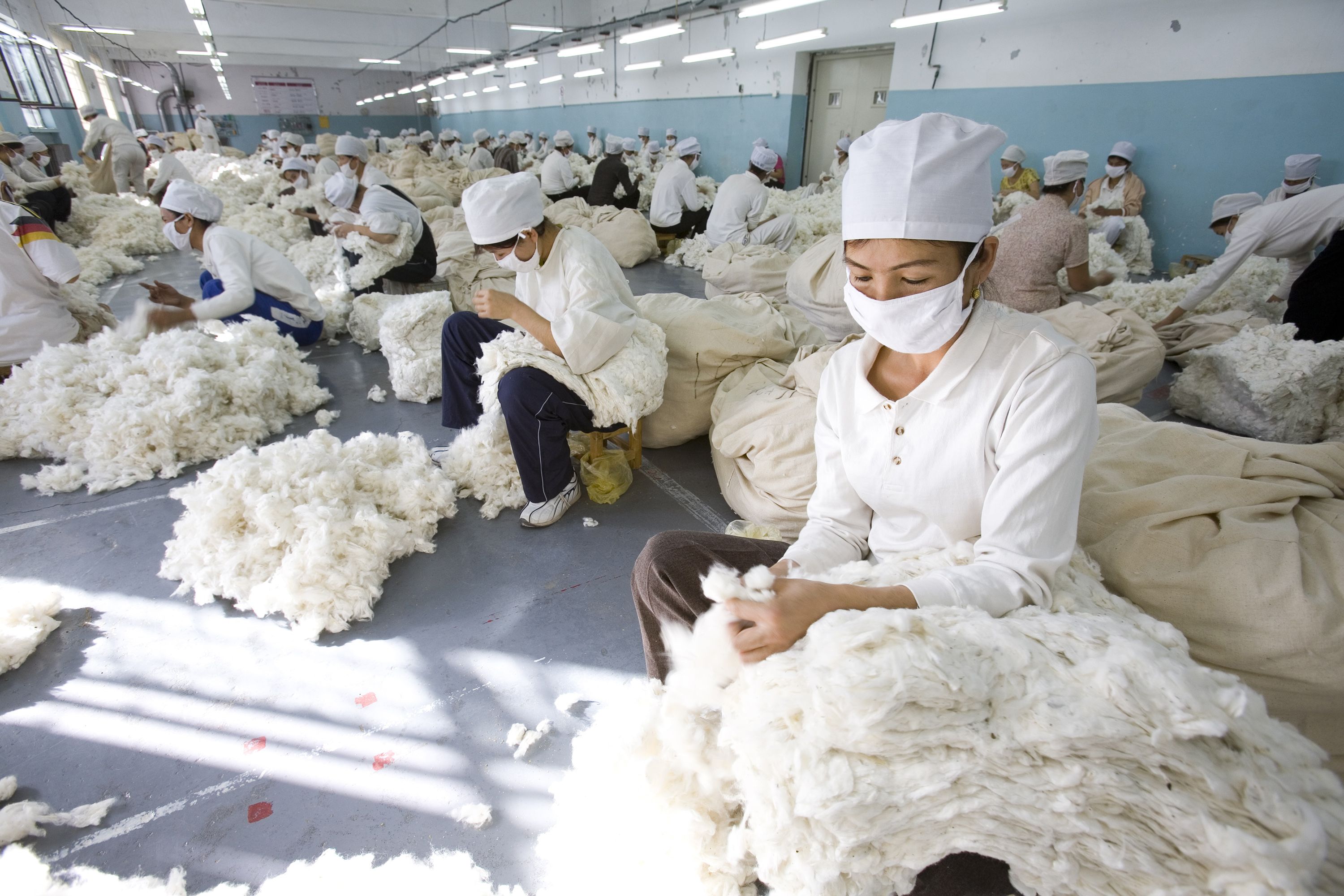 China poverty alleviation, cotton boom backed by forced labour in Xinjiang: report