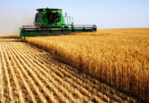 Parliamentary body outlays seven-year agricultural growth strategy