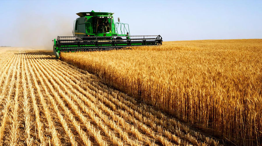 Parliamentary body outlays seven-year agricultural growth strategy