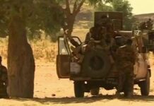Niger village attacks killed 100, says prime minister