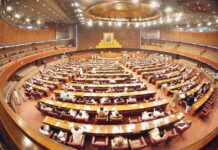 Parliamentary panel stresses focus on agriculture under CPEC